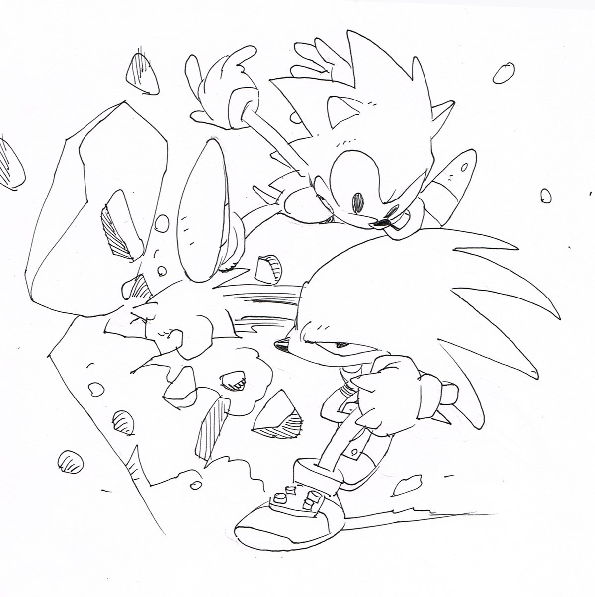 I wonder if they teach kids today that this is how it was back in '94, in the beginning. 
#SonicTheHedgehog 
