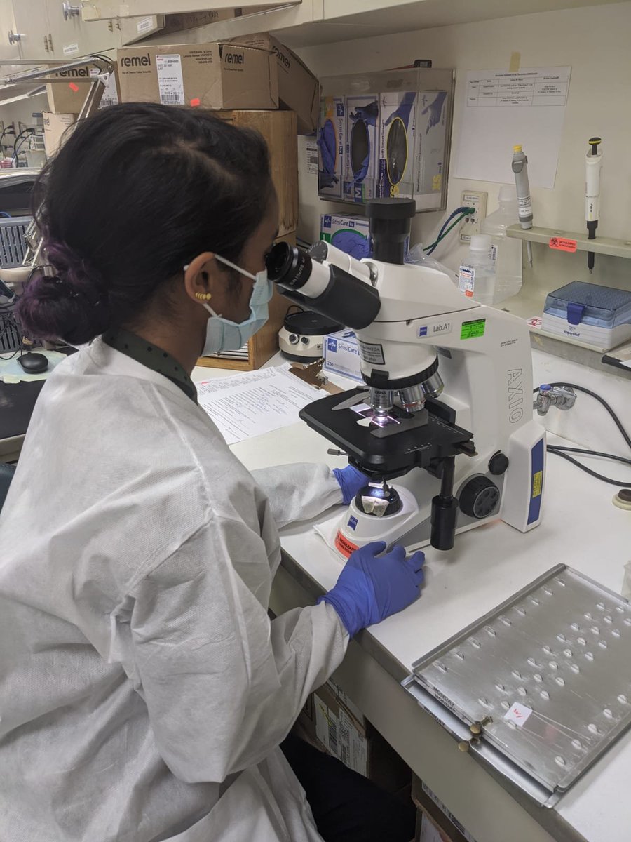 DCPedsID's tweet photo. Our first-year fellows @JencyDanielMD, @MarisuRueda, and #NickGeagan spent a few weeks at the #microlab to learn everything from catalase to MALDI. #BabyBugDocs #Elizabethkingia #WhenindoubtasktheMALDI #GramStaining #MicroMondays https://t.co/gUX8YhmfqZ