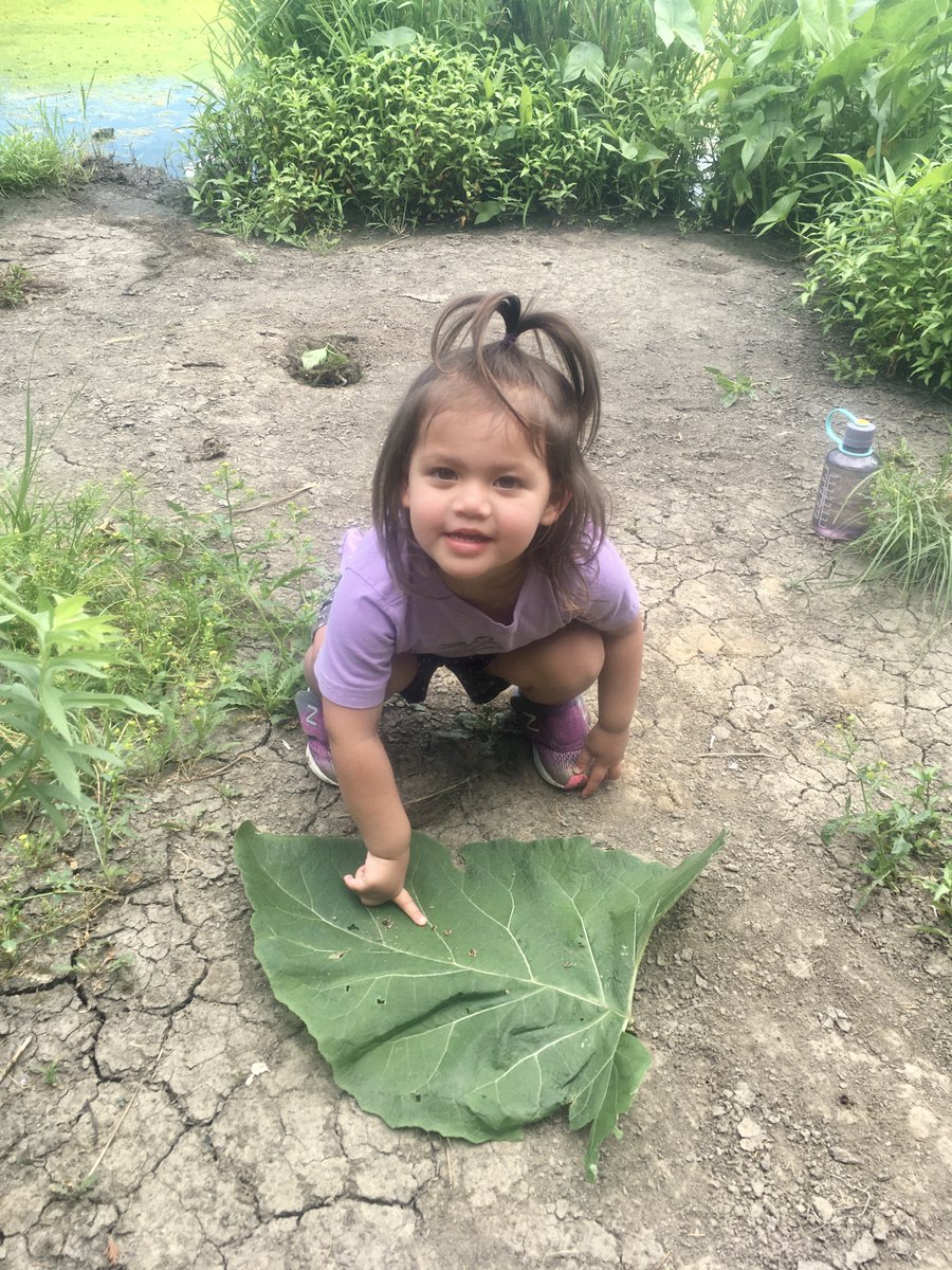 #Tbt #ItsMonday That one time I made my niece sit on a giant leaf and then take a picture with it. #YoungNaturalists