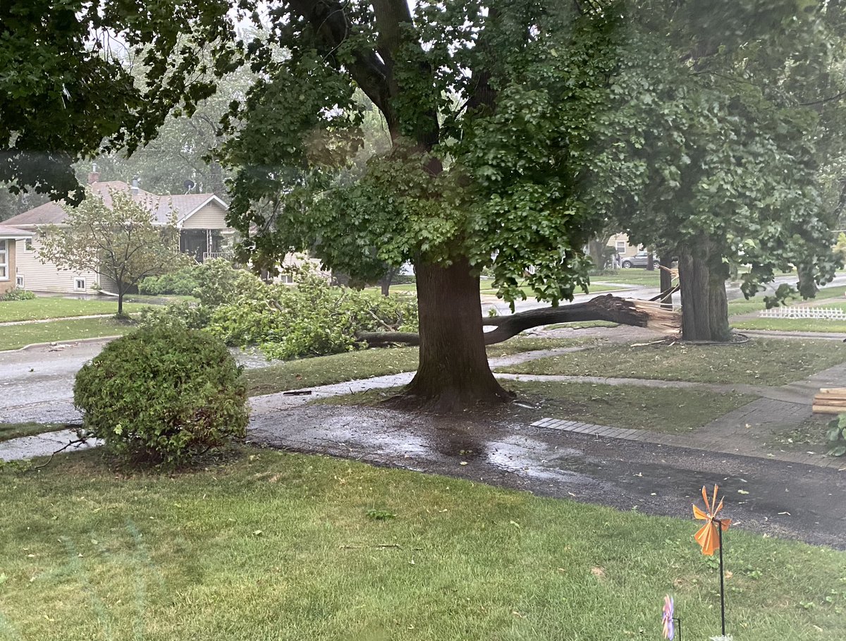 frau_johnson's tweet photo. @WGNNews Big tree down in Bartlett next to my house across the road. Thankfully no one in its path. https://t.co/r9sFOIZaxi