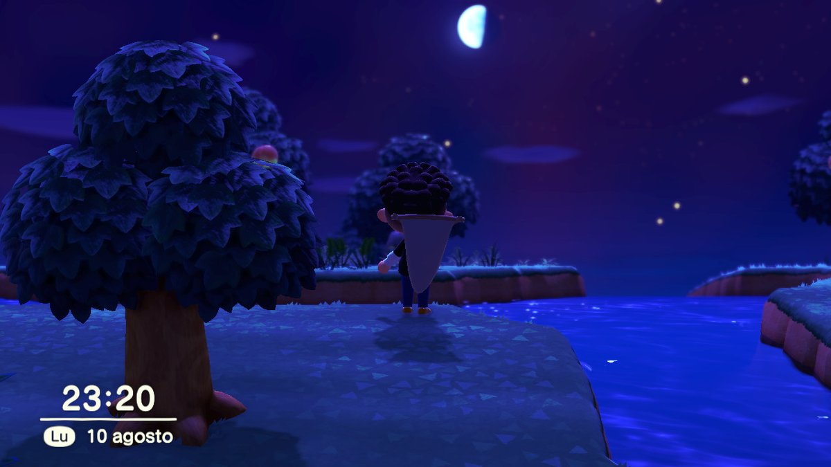 #AnimalCrossing #ACNH #NintendoSwitch