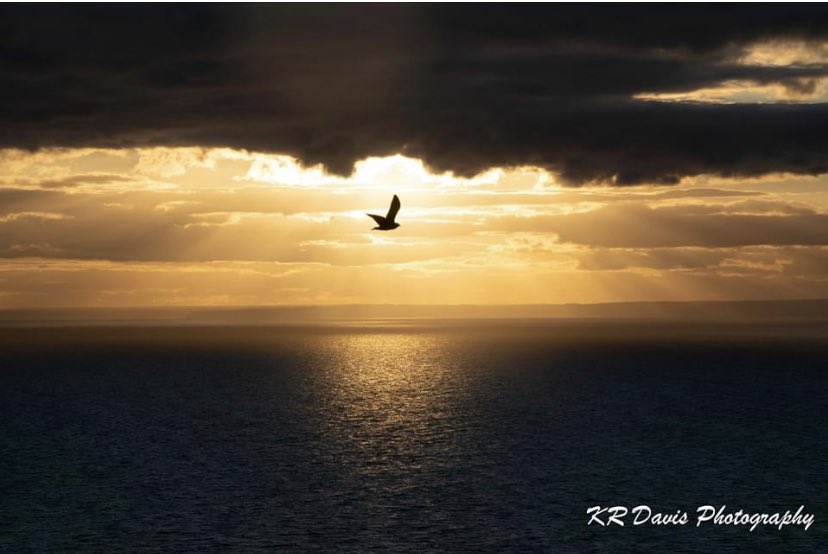 KRDavisphotos's tweet photo. Got this one whilst away in #Weymouth #portland #fsprintmonday #WexMondays #photography #photographers #rightplacerighttime #peace2020 https://t.co/TEd3x4CQRx