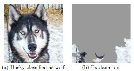 Riberio et al. considered another example where they classify wolves (w/ snow background) vs huskies (w/ no snow). Using LIME on the model revealed that it focused on the background and ignored the dog.  https://arxiv.org/abs/1602.04938  4/