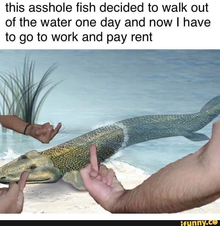 asigmaenigma's tweet photo. Ugh evolution #EatTheFish https://t.co/JvyhlmHARf