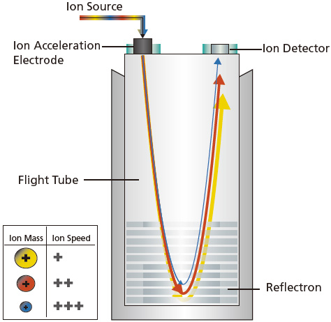 Now TOF is a favorite because of it sorts out the ions is easy to understand, larger ions move slower than faster ones, so the smaller ones hit the detector first!