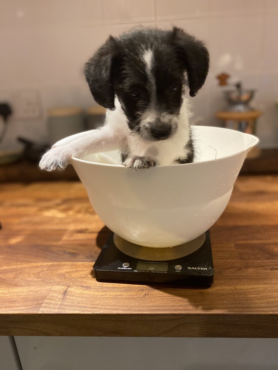 Well how else are you supposed to weigh him??