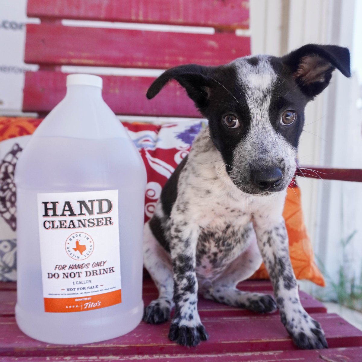 Thank you @TitosVodka for donating hand sanitizer to Texas Humane Heroes so that we can continue to help our community! #LoveTitos