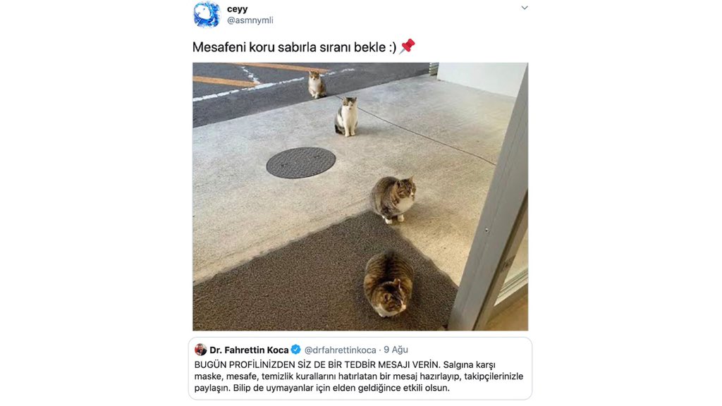 Dr. Fahrettin Koca (@drfahrettinkoca) on Twitter photo 