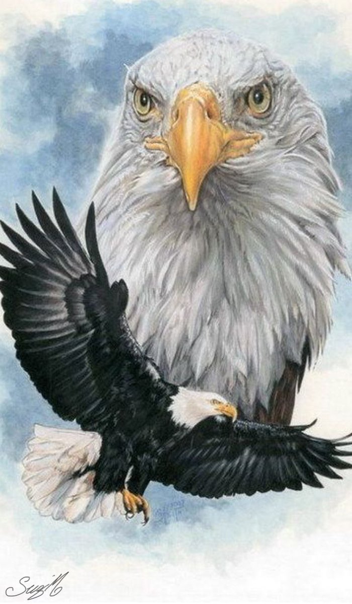 Eduardo Díaz tweet media