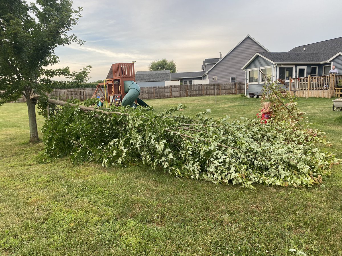 #HurricaneIOWA so many trees all over the Quad City Area.