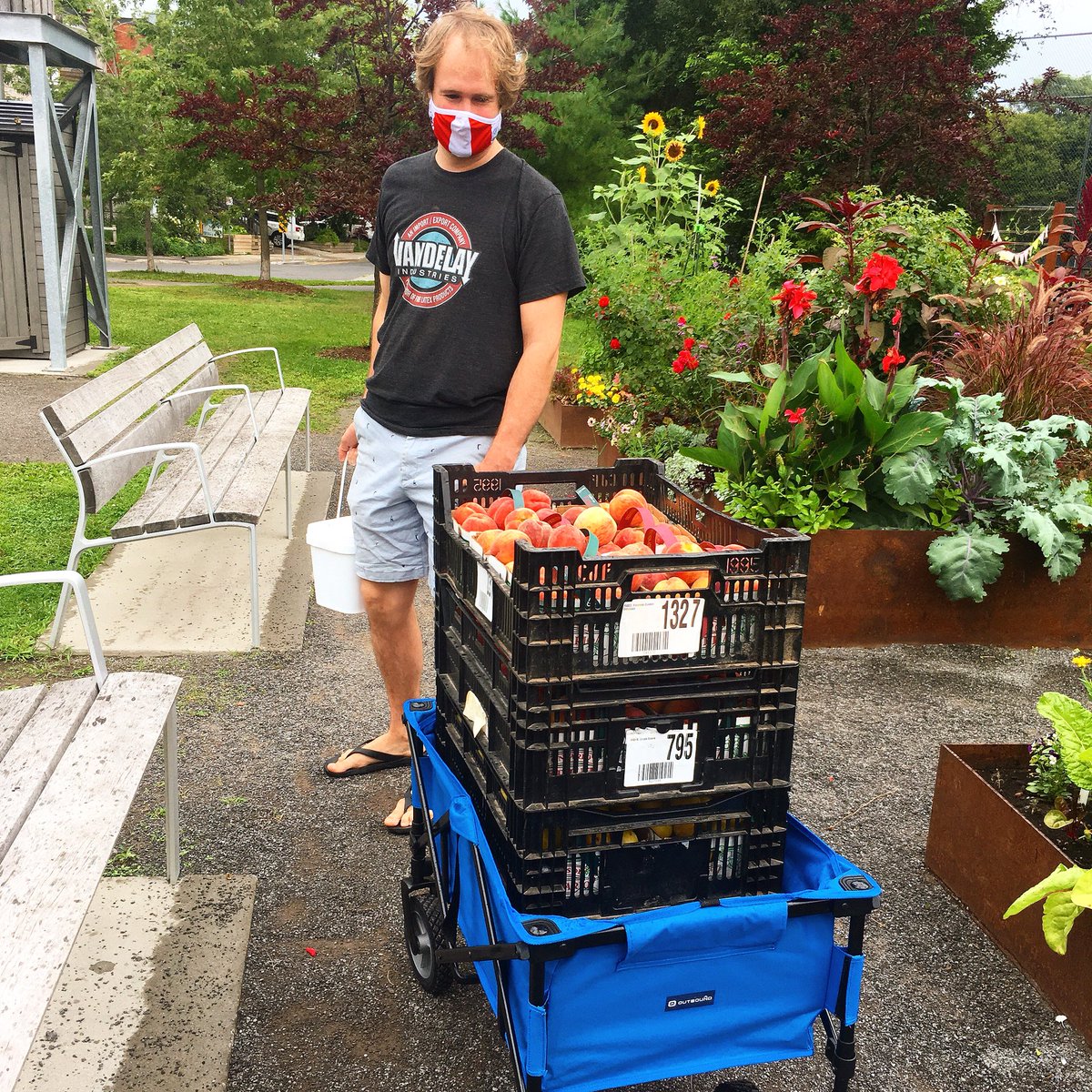 Peaches, plums, cherries and strawberries all available in store tomorrow!  Email to reserve, thepiggymarket@gmail.com