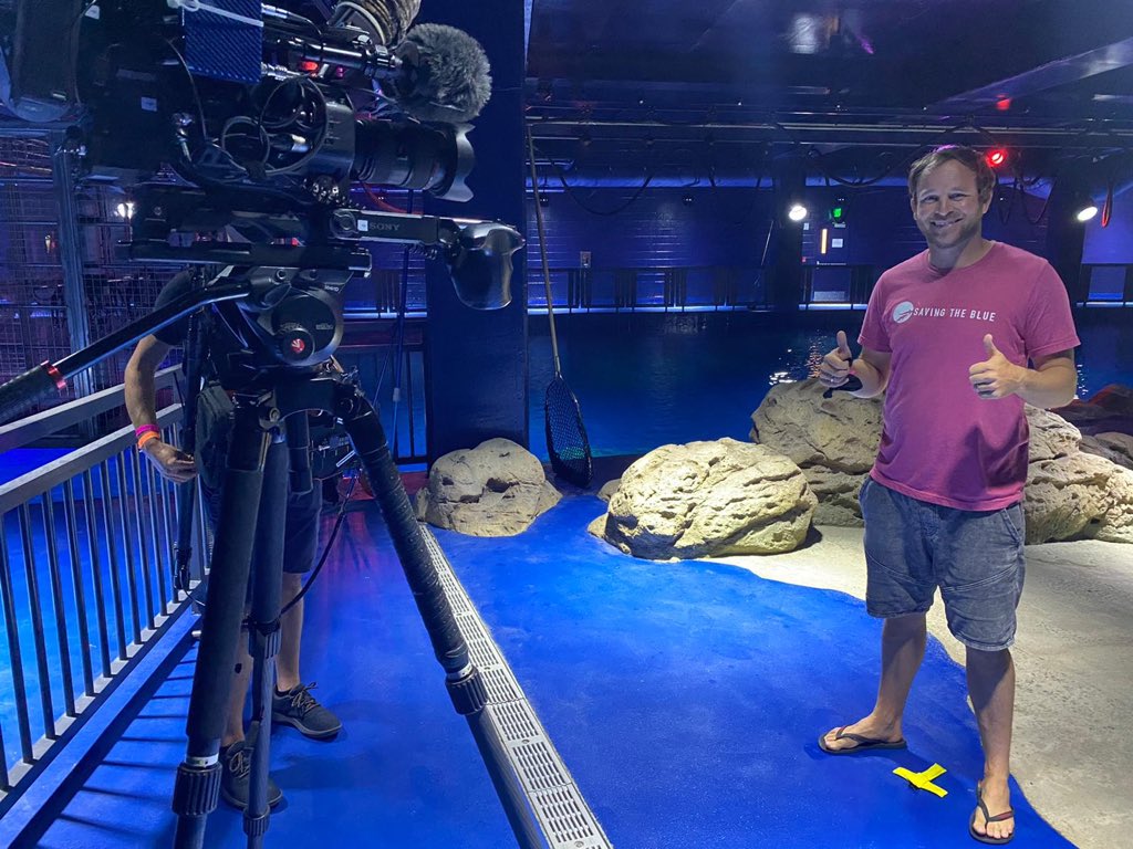 savingtheblue's tweet image. Thank you for all the messages regarding spotting our tee on @DrGuttridge during #ShaqAttack tonight! If you would like to support us through an apparel purchase you can visit our website, here: savingtheblue.org/shop 
#sharkweek