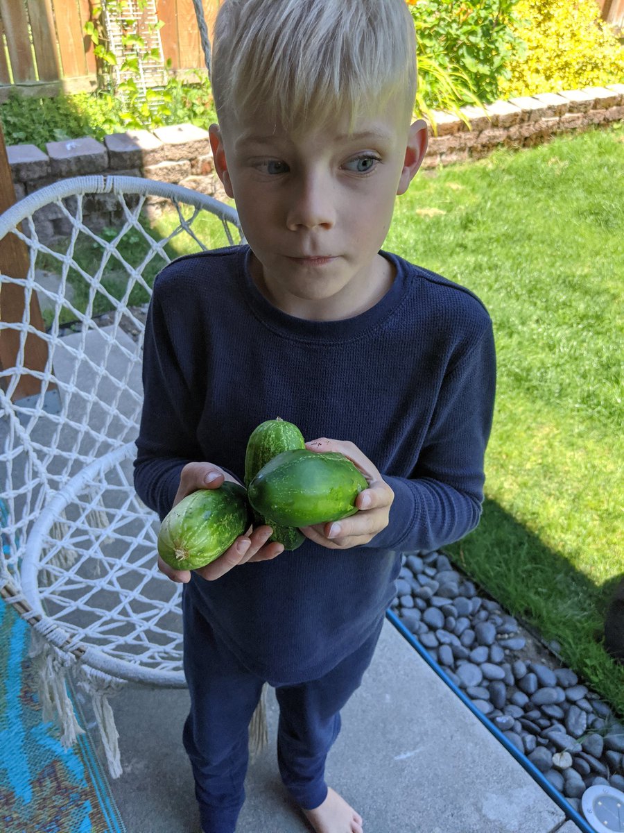 normalnorman's tweet photo. My backyard garden has been my therapy throughout the pandemic https://t.co/0AOJUx47j7
