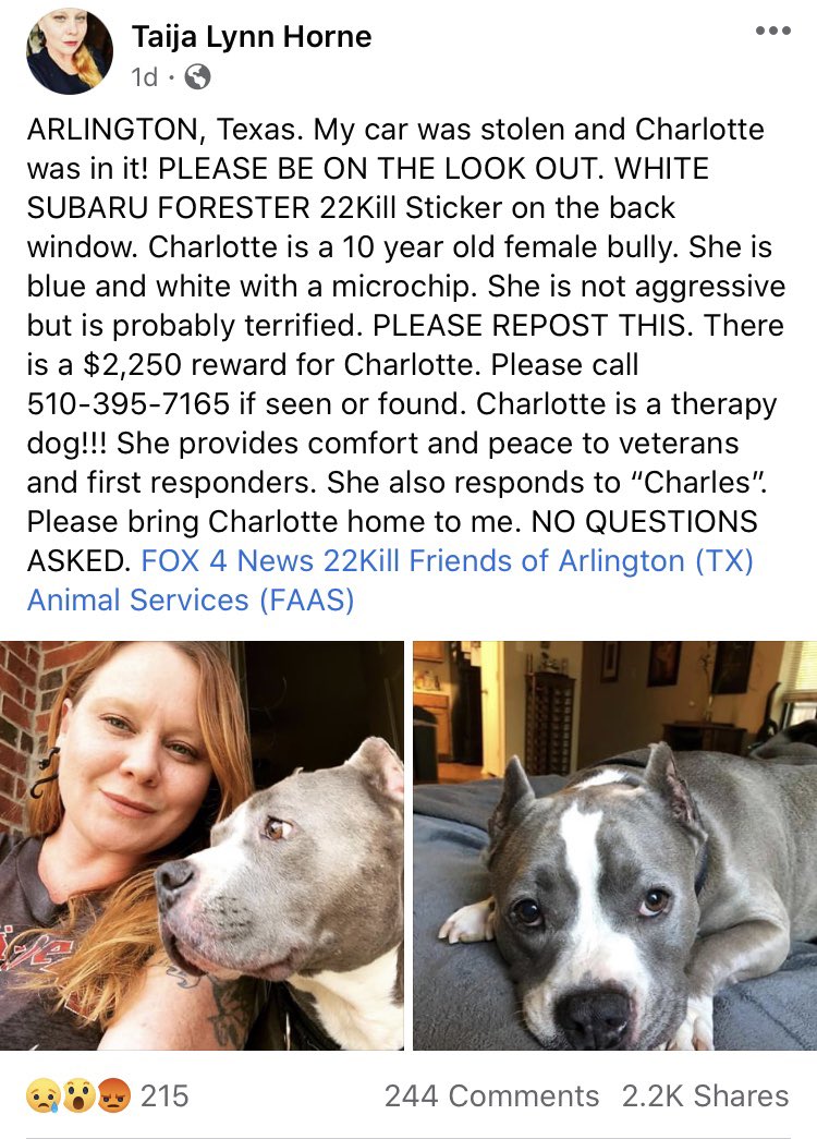 Are Dogs Allowed In Walgreens 2017