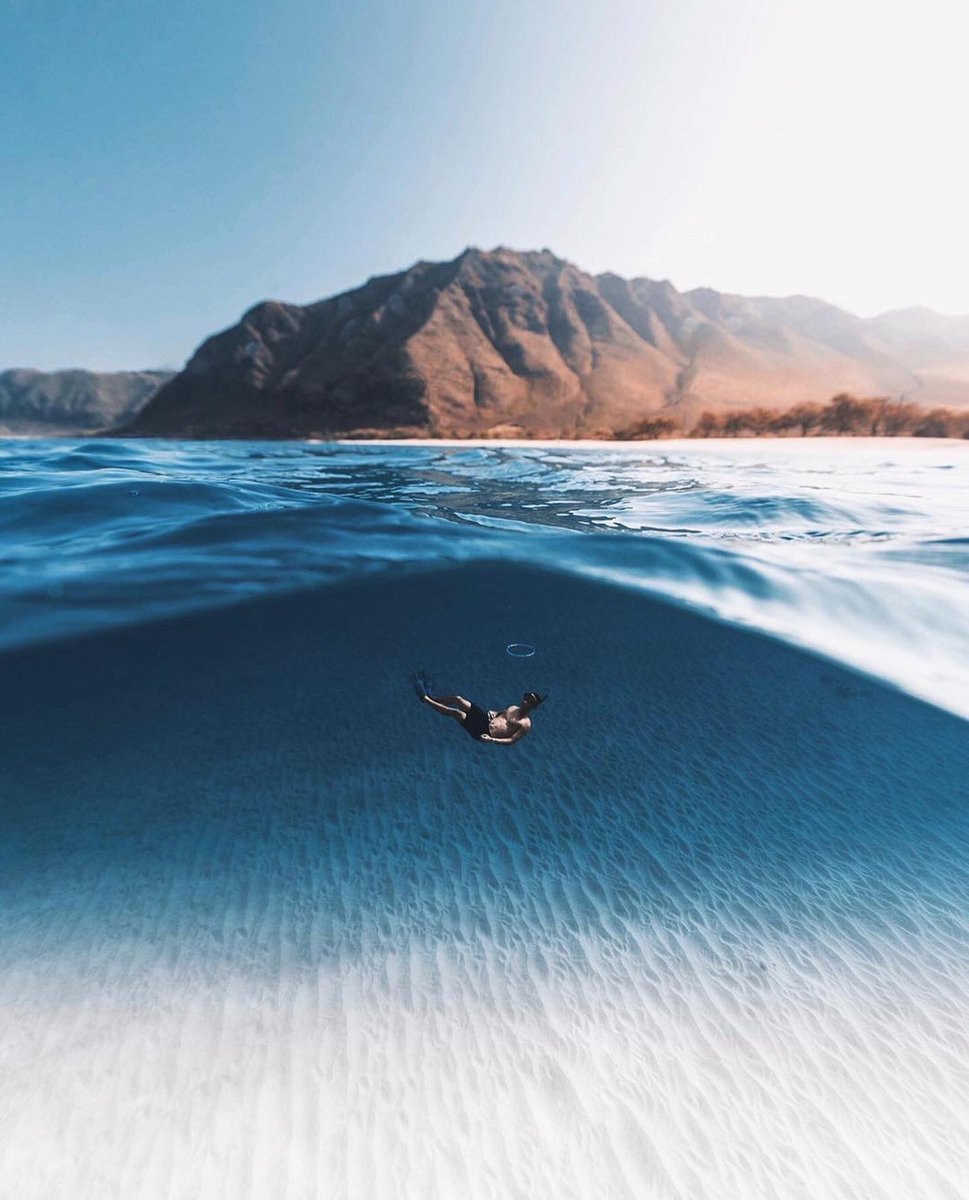 earth's tweet photo. Morning dips in the ocean 💦 https://t.co/tKiy7nA0fT