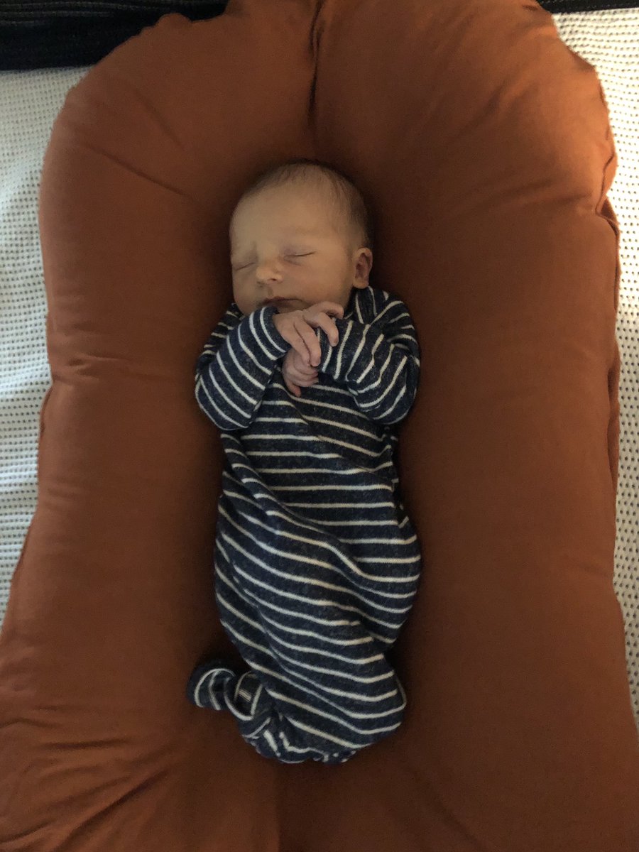 Meet the newest member of the Hinckley family - Jack!