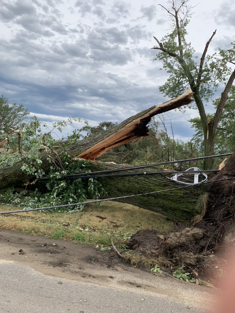 nlydv's tweet photo. These pics don’t accurately capture all the damage out there. With >100 mph winds recorded here in Cedar Rapids, I’ll be amazed if the power is restored today. @KCRG 

Gonna read up on the science of a #derecho before my phone dies. https://t.co/c4uCgXh50Q