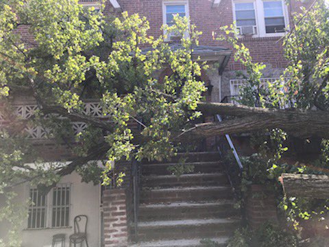 NYPDSpecialops's tweet photo. As #NYC recovers from the effects of Tropical Storm #Isaias, #ESU members continue to assist @NotifyNYC &amp; @NYCParks in clearing major streets and residential houses impacted by downed trees. As always, teamwork gets the job done. https://t.co/uwwK2jiIPn