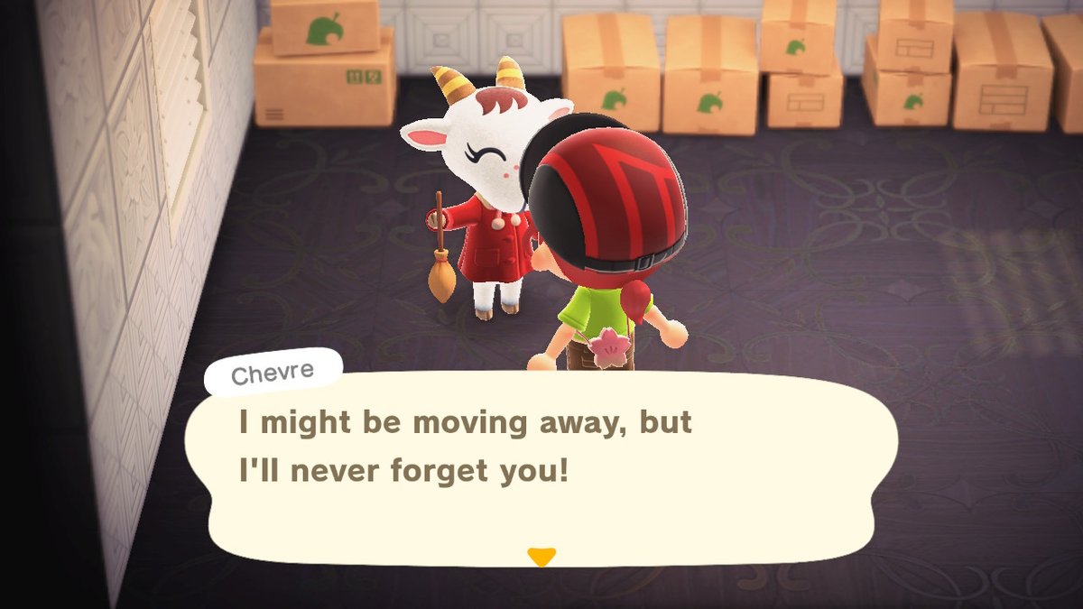 vnyxgamer's tweet photo. Saying goodbye to Chevre today. #AnimalCrossing #ACNH #NintendoSwitch #chevre #acnhchevre #villagerinboxes https://t.co/GPwCYLwJKT