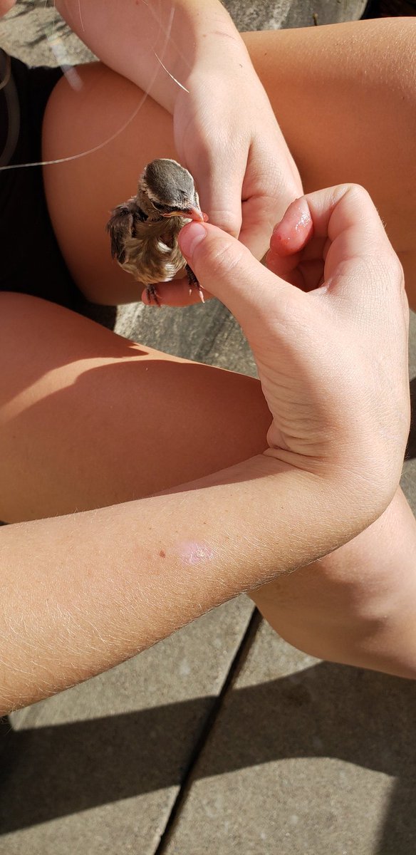 Upper Lip Outdoors tweet media