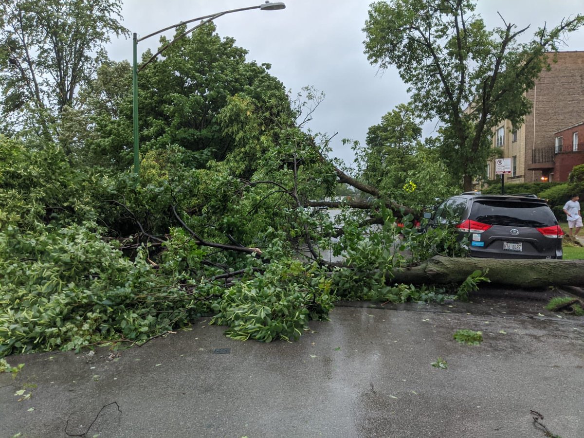 WeatherAmino's tweet photo. @MikeHamernik Sent you some pics earlier. This is West Rogers Park damage. Dozens of trees down everywhere. The park in Rogers Park was decimated. https://t.co/xvEL6ZJ062