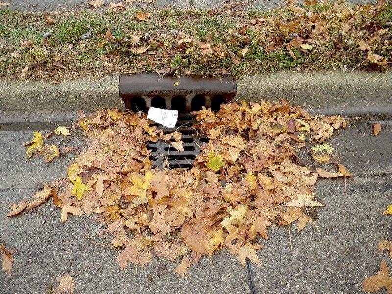 BatesHendricks's tweet image. With a rainy few days ahead, don't forget to check your storm drains a few time a day. If clogged, these can lead to flooded streets and basements!