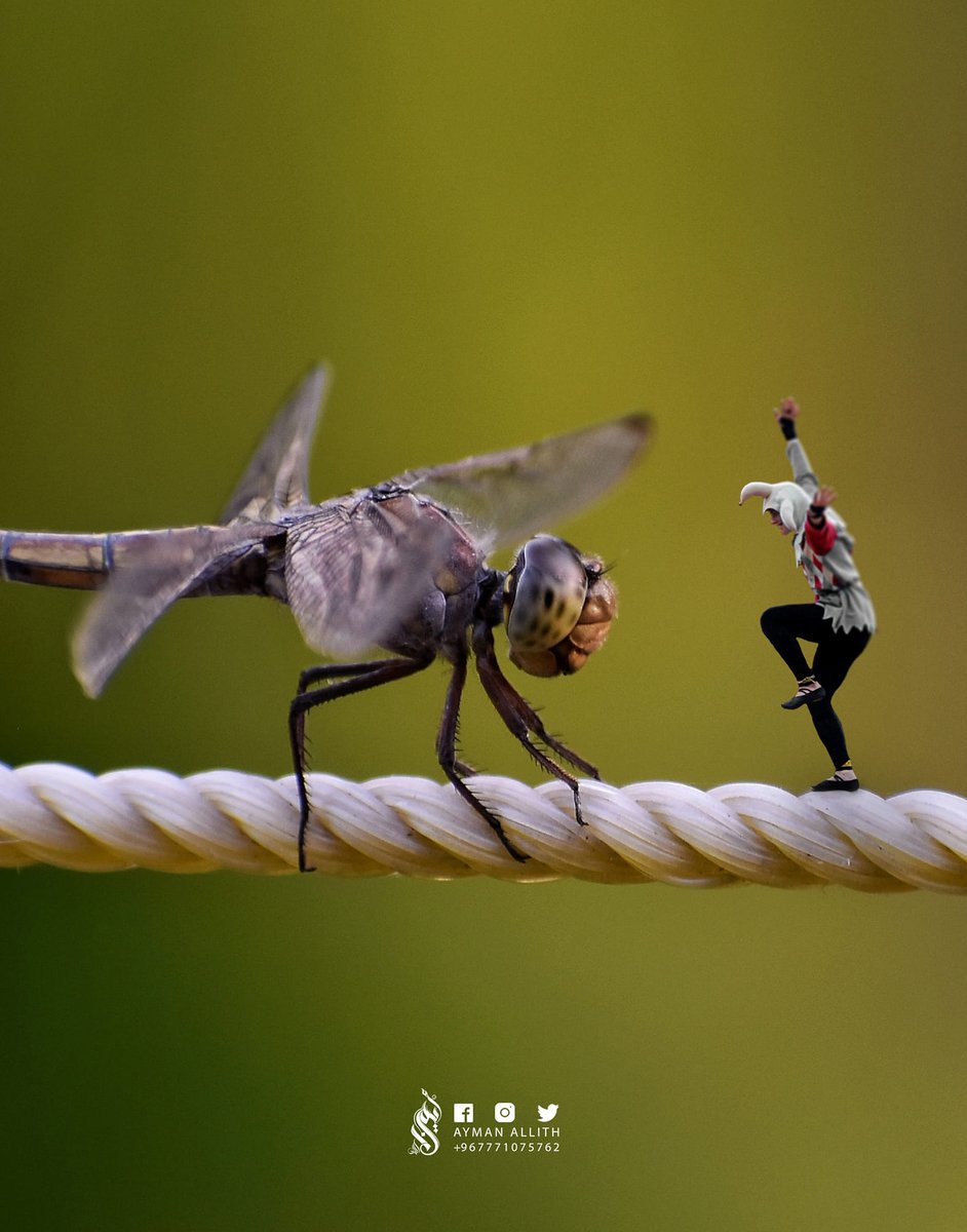 AymanAllith's tweet image. #تصميمي #Ayman_Allith #design