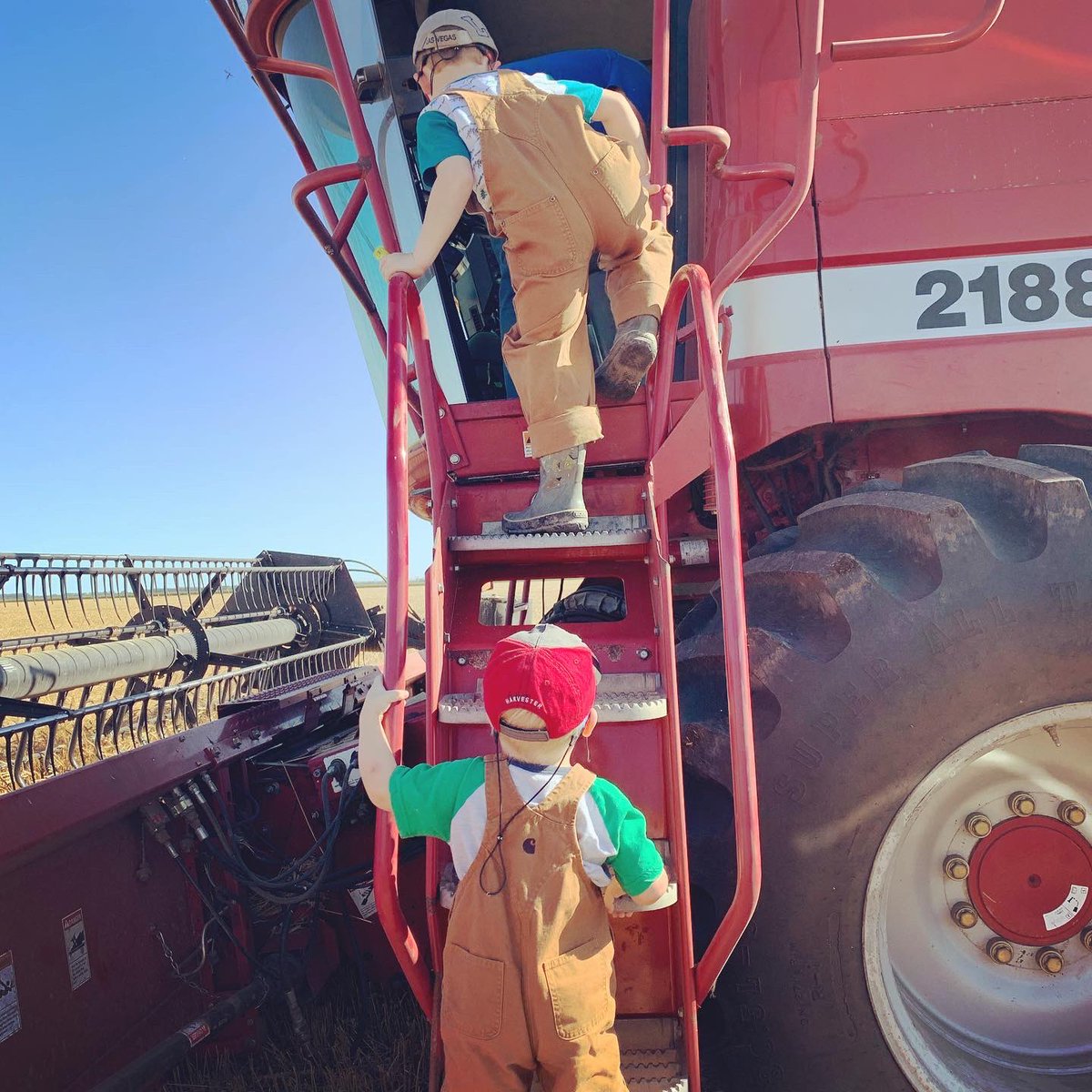 Maier Farms tweet media
