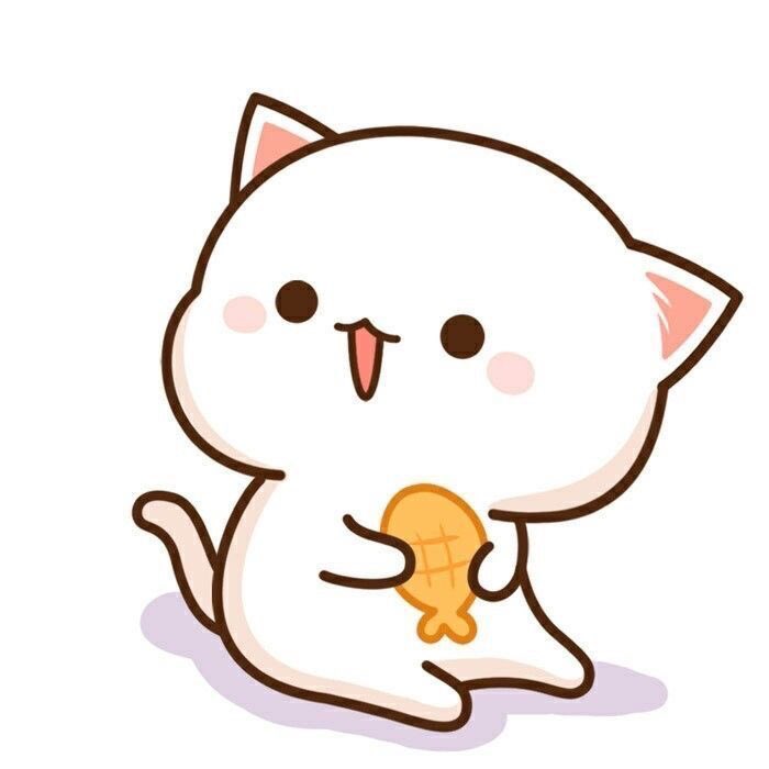 𝒏𝒆𝒘 𝒕𝒉𝒊𝒕𝒊𝒑𝒐𝒐𝒎 as this cat. [ a short but adorable thread ]