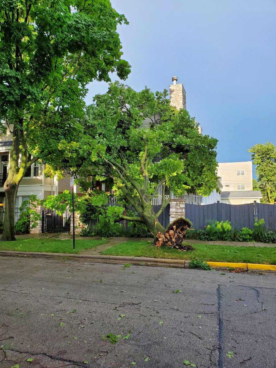 Me_i_Mo's tweet photo. Cleaning up Roscoe Village after the storm...about two dozen adults around taking pictures and only a few offering to help. What a shame. @WGNNews https://t.co/qD5RaKbmlQ
