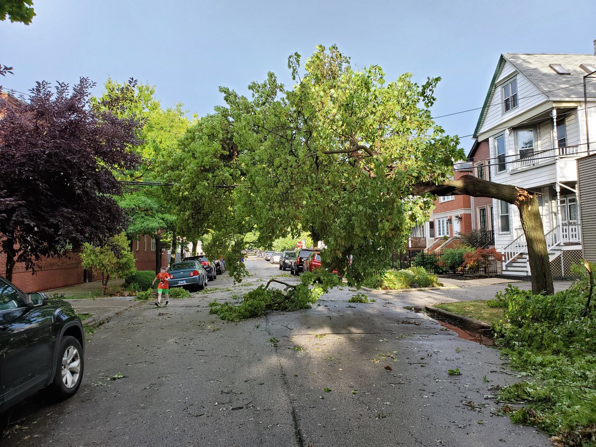 Me_i_Mo's tweet photo. Cleaning up Roscoe Village after the storm...about two dozen adults around taking pictures and only a few offering to help. What a shame. @WGNNews https://t.co/qD5RaKbmlQ