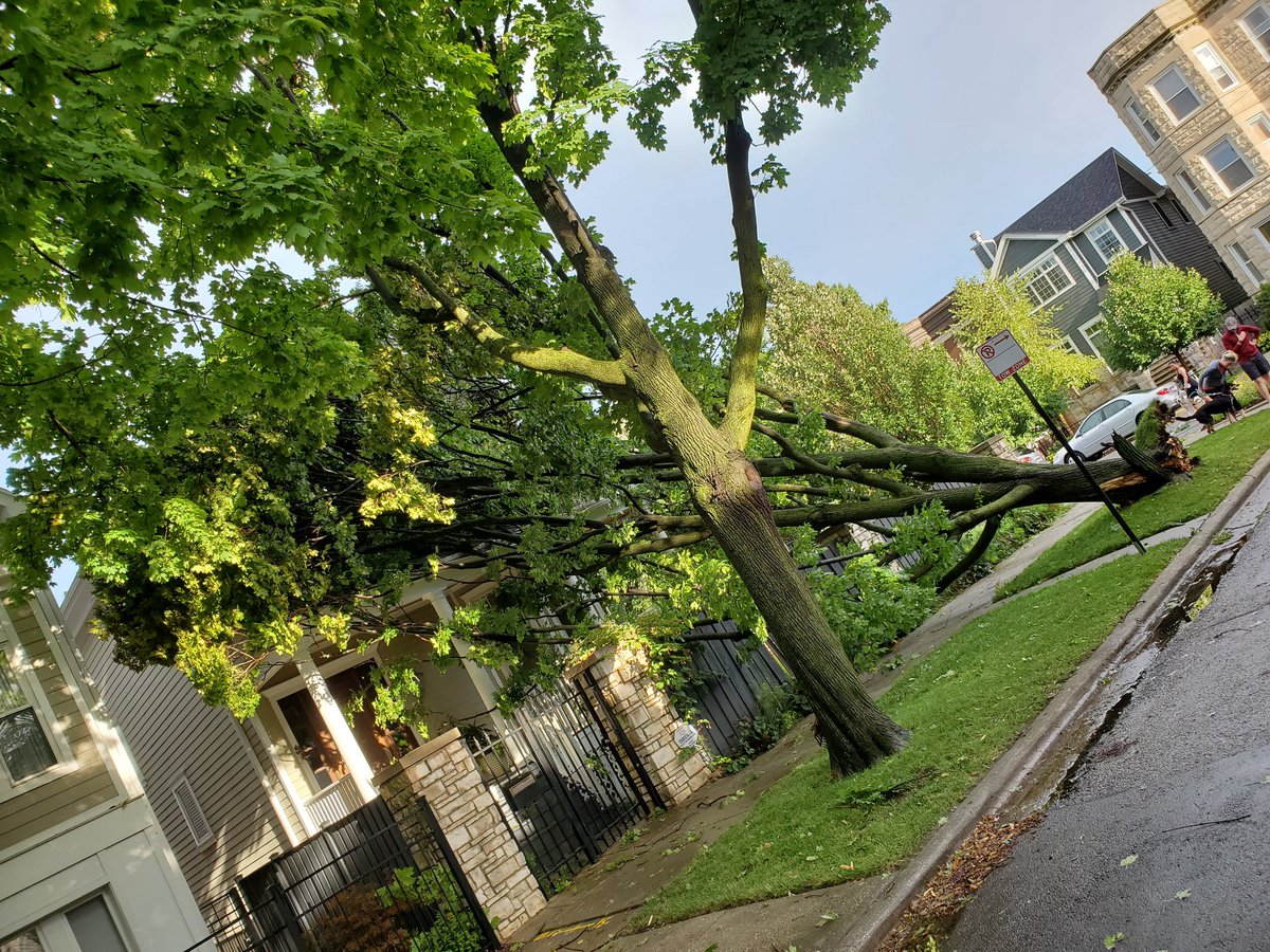 Me_i_Mo's tweet photo. Cleaning up Roscoe Village after the storm...about two dozen adults around taking pictures and only a few offering to help. What a shame. @WGNNews https://t.co/qD5RaKbmlQ