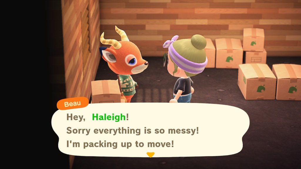 Haleigh_trash's tweet photo. Sweet beau is in boxes #acnhvillagerinboxes #acnhvillagertrade #AnimalCrossing #ACNH #villagerinboxes #acnhtrades https://t.co/E0ZuX1SKwt