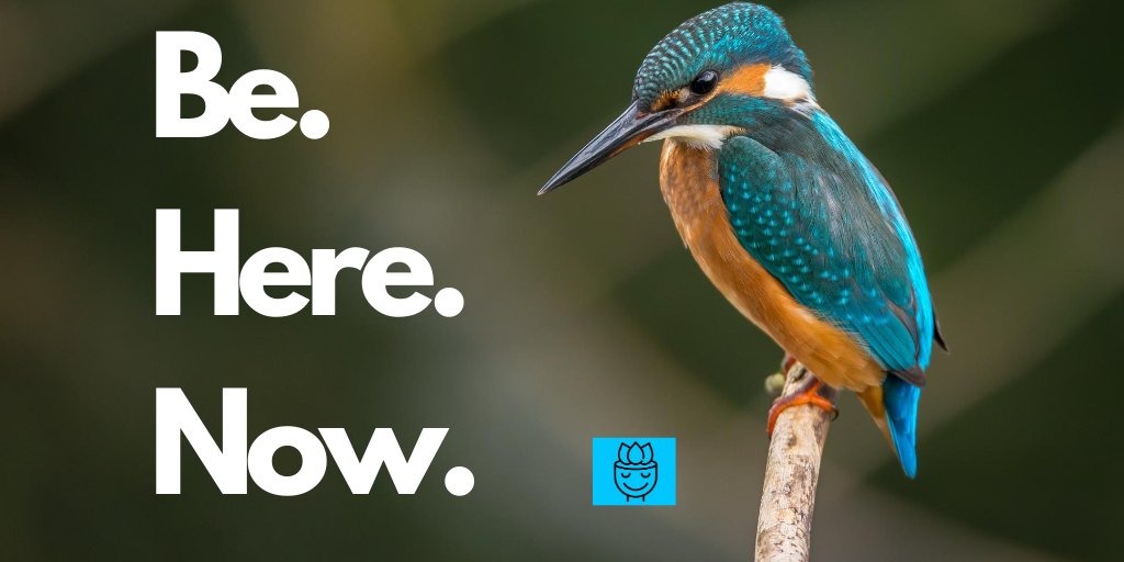 JoyStreaming's tweet photo. Wherever you are, be there totaly!
Photo: Vincent van Zalinge 
 #higherself #spirituality #awakening #meditation #consciousness #love #enlightenment #spiritual   #thirdeye  #awareness #energy #mindfulness #selflove #spiritualjourney #joystreaming #spiritualgrowth #yoga #gratitude https://t.co/Rzg3coJj6F