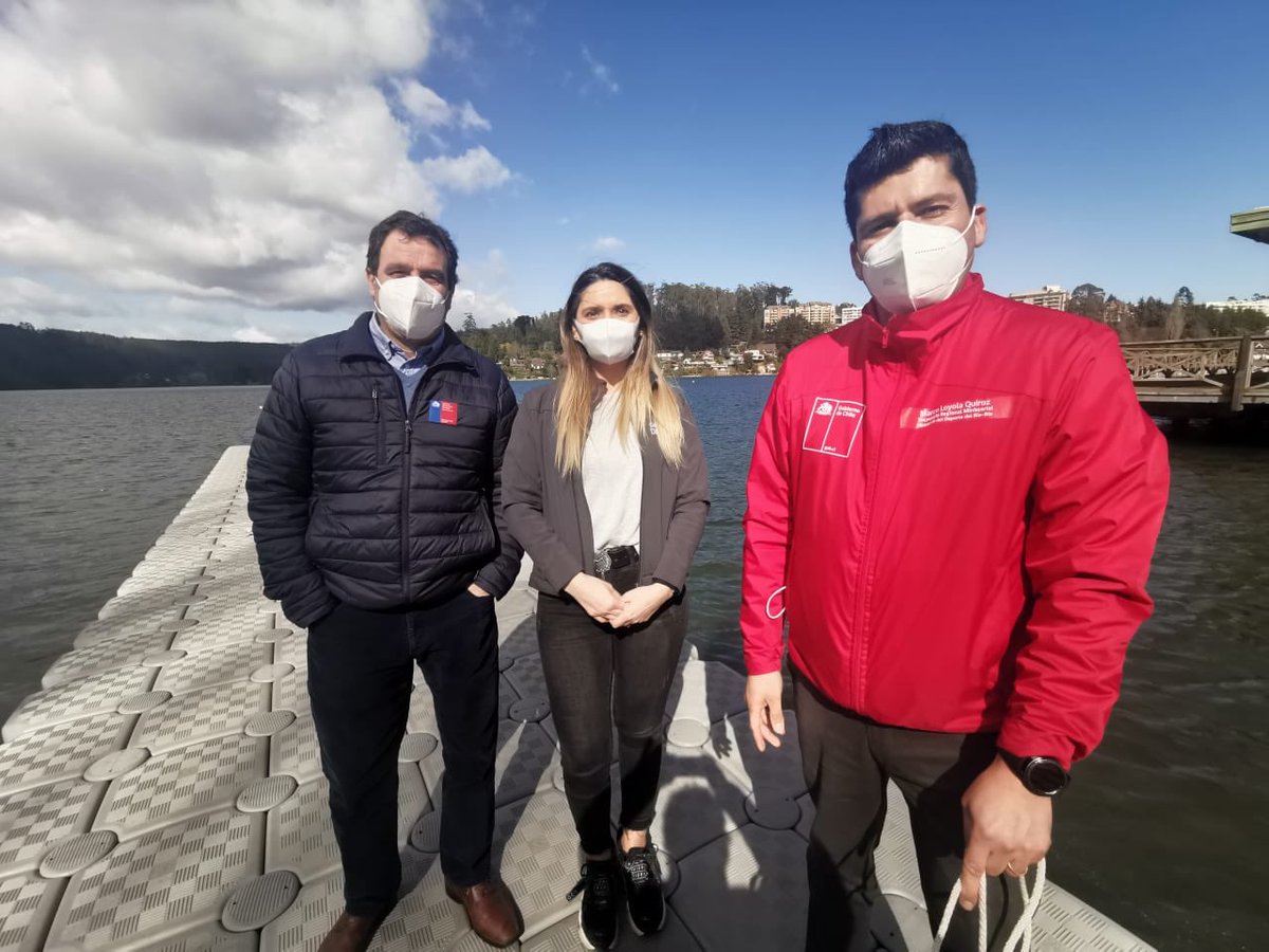 Senadis Biobío tweet media