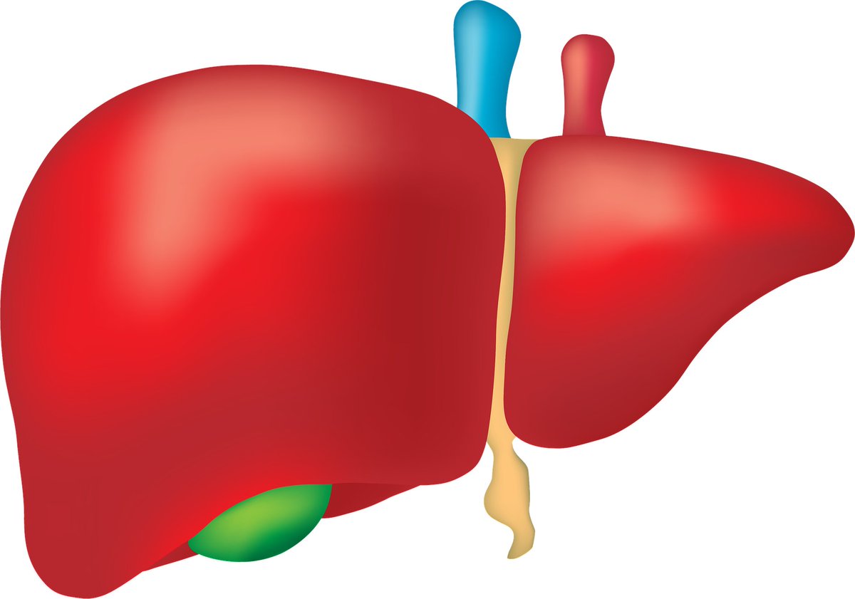 humanimmunenews's tweet photo. Scientists propose a new #vaccine platform that enhances all three arms of the #AdaptiveImmune system to improve tumor‐associated antigens‐based cancer vaccination in hepatocellular carcinoma patients.
Read the review published in @HEP_Journal 👇 :
https://t.co/DdW49MkPJJ https://t.co/6IqLzE4xDD