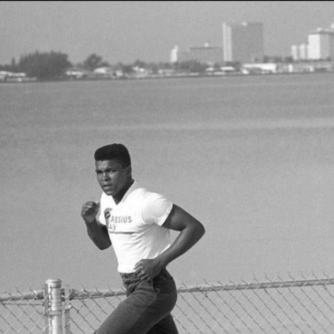 joinfightcamp's tweet photo. "He who is not courageous enough to take risks will accomplish nothing in life."
- #MuhammadAli #boxinginspiration https://t.co/fStraT2ZJa