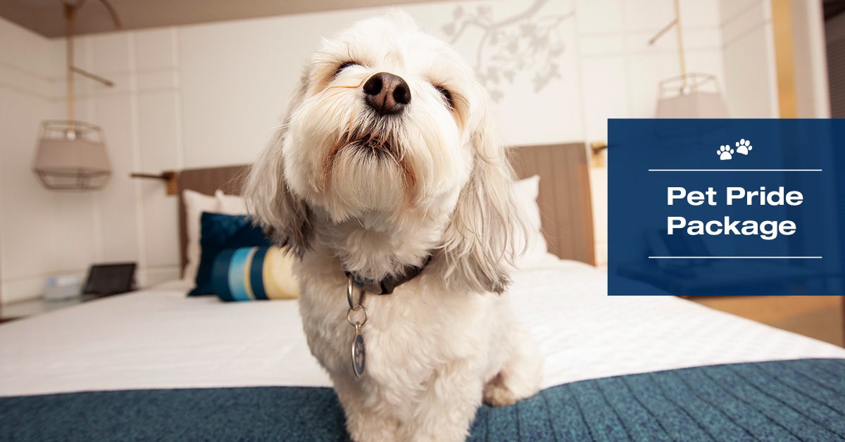 If you and your pup need to travel, we've got you covered with our Pet Pride Package. bit.ly/2OYPOaP #dogfriendly #bayareadogs #hotelnikkosf #travelwithpets #traveltuesday