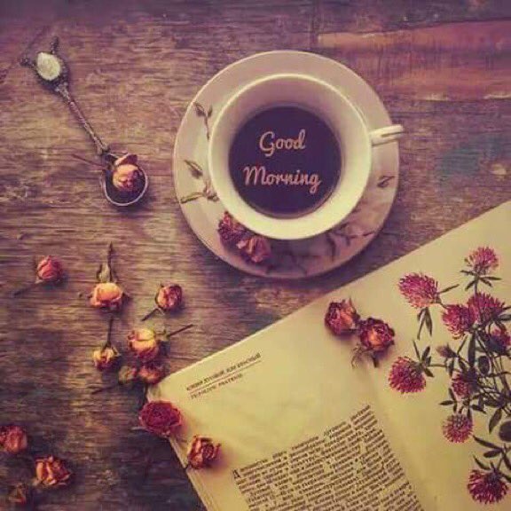 zzaa2016's tweet image. #صباح_الخير لـ رصيف نسي لونه العابرين لـ شجرة كسرها ميلانها عن الظل ولـ غيمة مهاجرة أمطرت في المحيط صباح الخير لكل من خانته الأبجدية.
#قروب