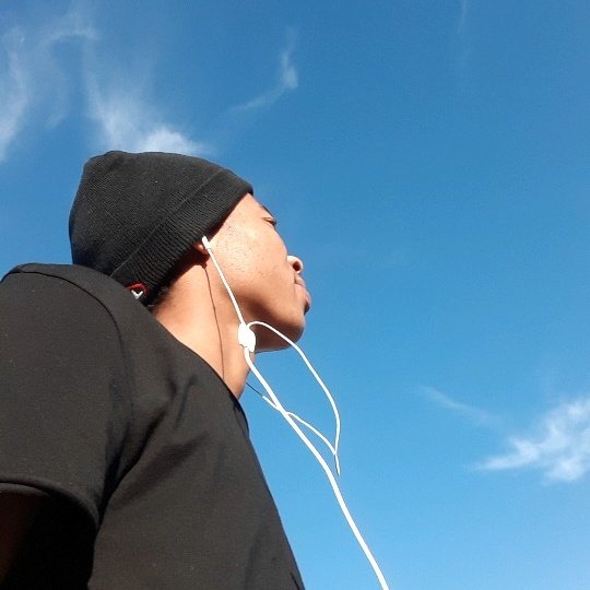 sdingoh's tweet image. #NewProfilePic