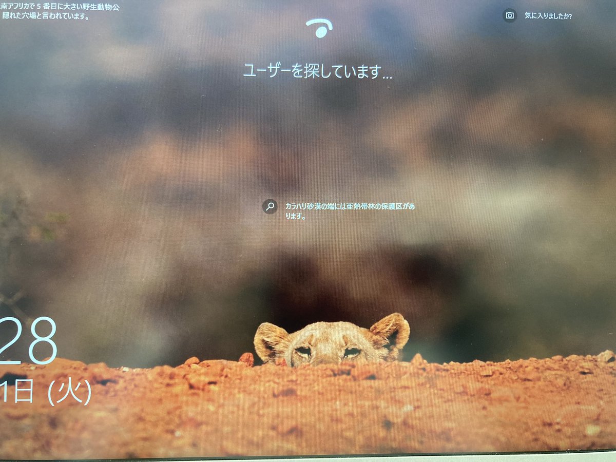 every___diary's tweet photo. って、会社のパソコン開けたら毎日
ランダムで表示される壁紙に癒された！今日会社来てよかった❤️（社畜） https://t.co/5mUixsRkHp