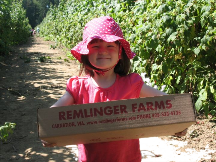 Remlinger Farms tweet media