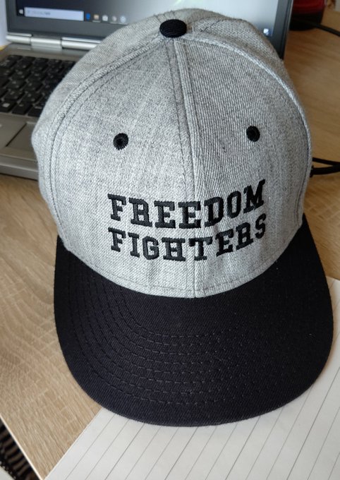 フリーダムファイターズのtwitterイラスト検索結果