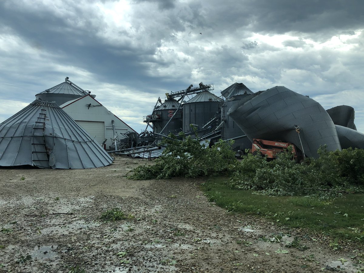 Bennett Mann tweet media