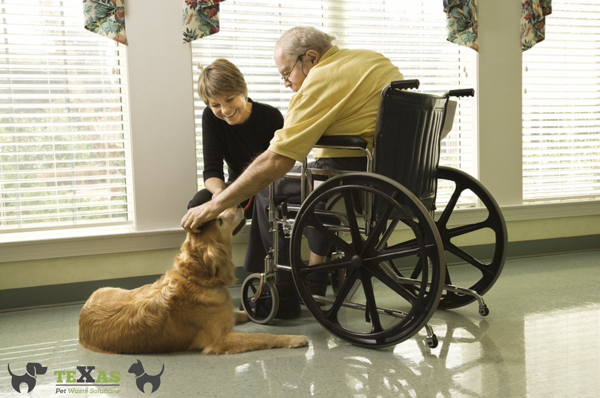 Our services are great for a retirement home. Call us today

Contact/ Follow Us:
Phone: (281) 760-3191
Website:texaspetwastesolutions.com
.
#pethealth #dogboarding #dogfood #petlover #doglife #doggy #dogdaycare #vet #catlover #petstore #dogwalking #HalaMadrid #texaspetwastesolutions