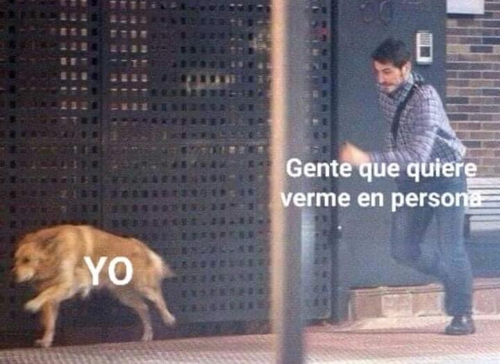 JZ_MA's tweet photo. Yo cuando quieren que active la cámara en una videollamada de trabajo 😂😂 https://t.co/eU5GAmYpRF