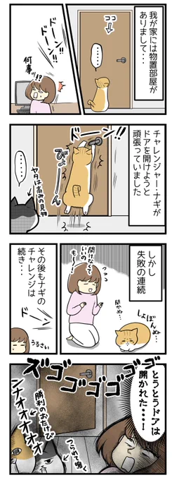 けなげなチャレンジは続くよどこまでも #漫画の読めるハッシュタグ #猫のいる生活  