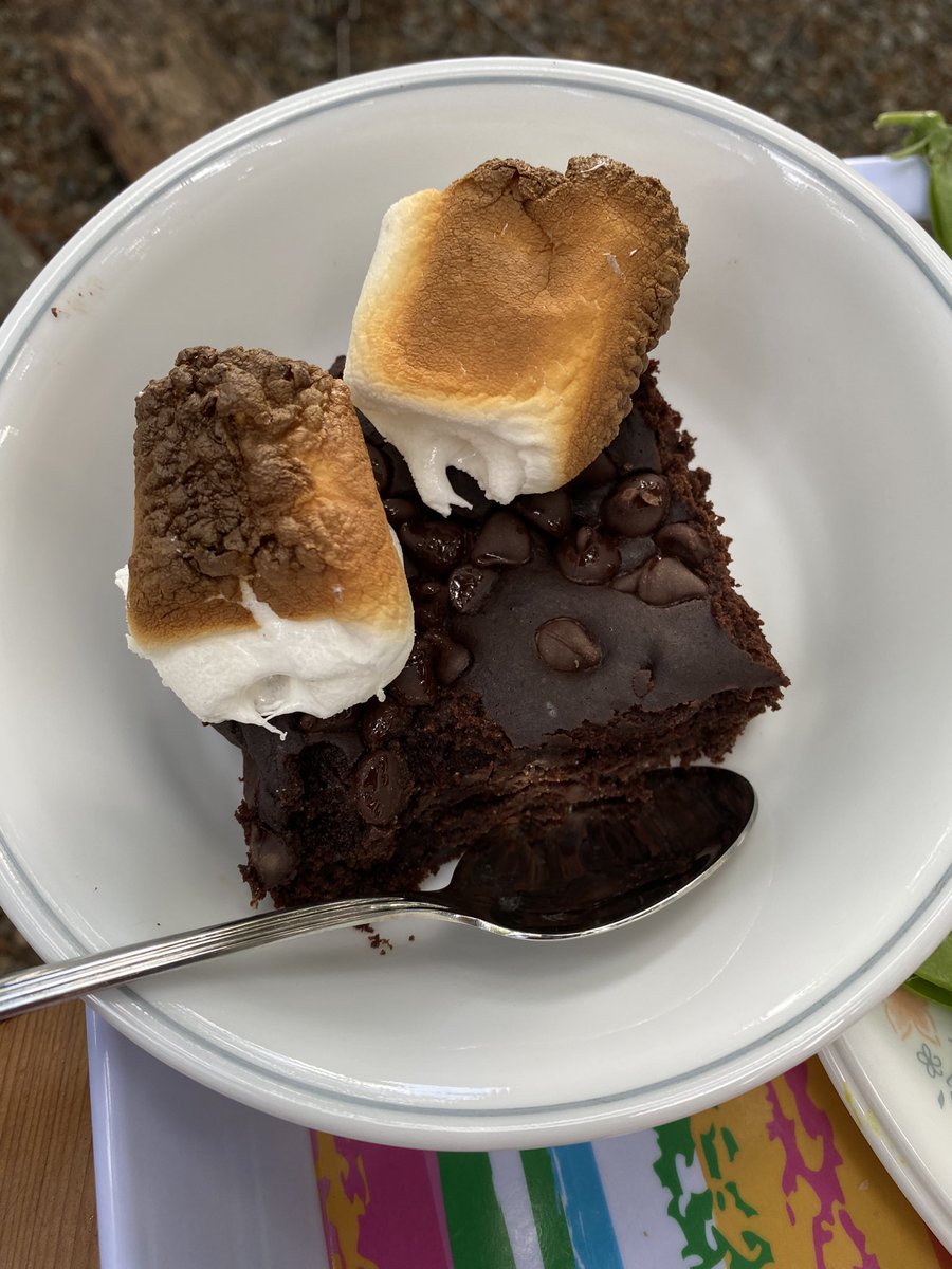 Happy National #SmoresDay! ❤️ When you run out of graham crackers the hubby figures black bean brownies are a good option! #Summer2020 ☀️