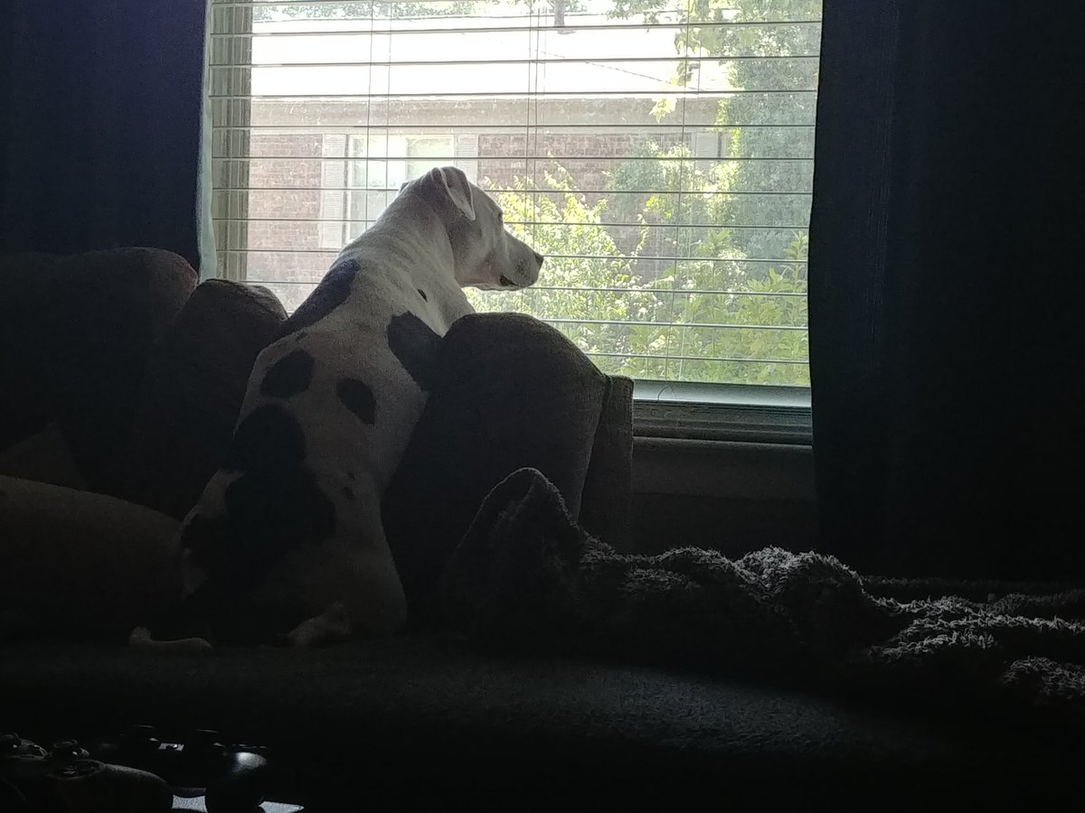 Joseph Gordon-Levitt tweet media