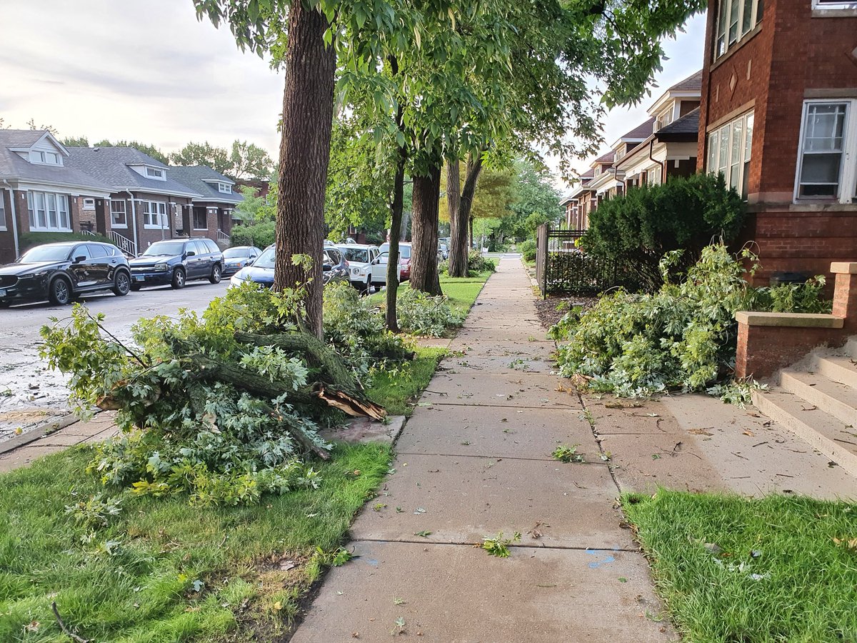 nptubbs's tweet photo. Update: Worked with our neighbors to clean up the block, and met some folks for the first time. #formyblock https://t.co/J29XniuX7U